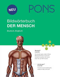 کتاب فرهنگ لغت تصویری PONS Der Mensch
